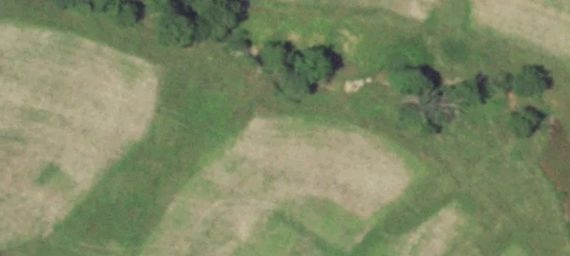 Patton Farm
