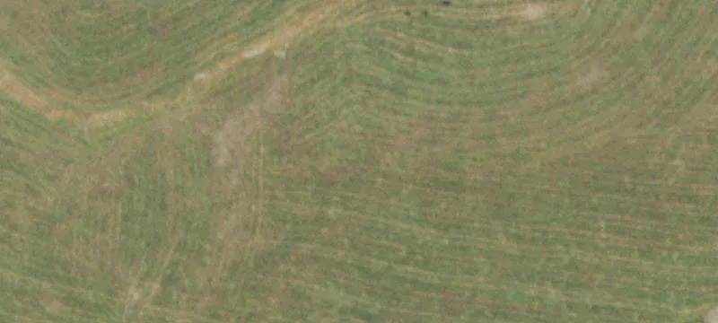Thornfield, MO 65762