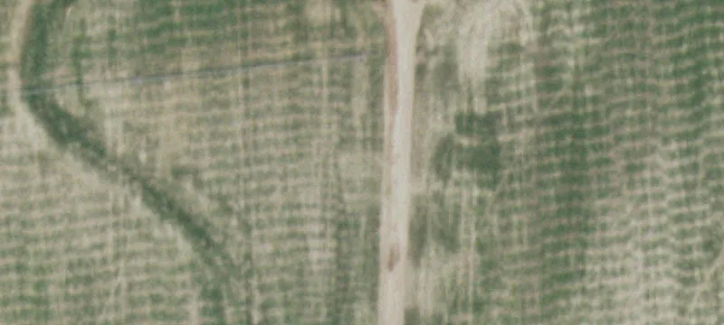 279 Us Hwy 160