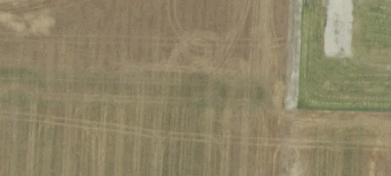 Tree Farm Rd