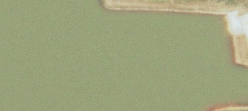 Rogersville, MO 65742