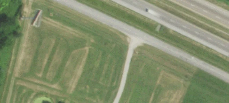 918 Tree Farm Rd