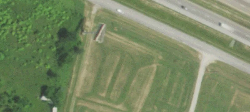 Tree Farm Rd