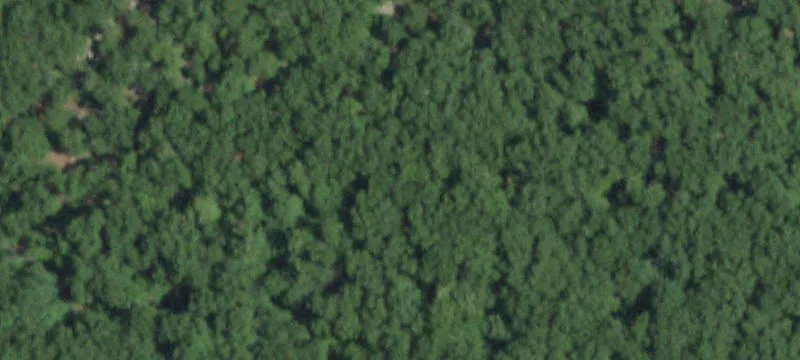 Middle Brook, MO 63656