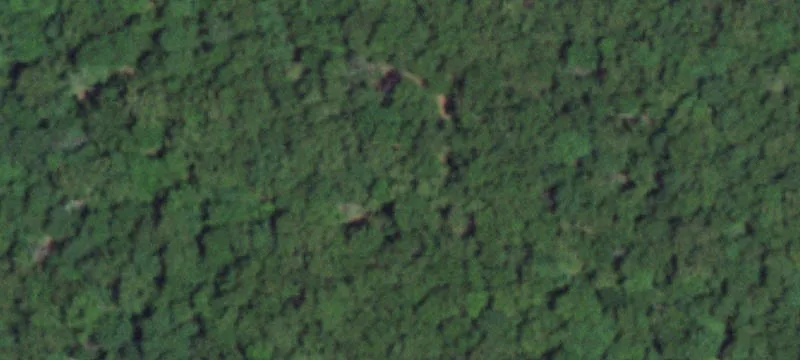 Grovespring, MO 65662