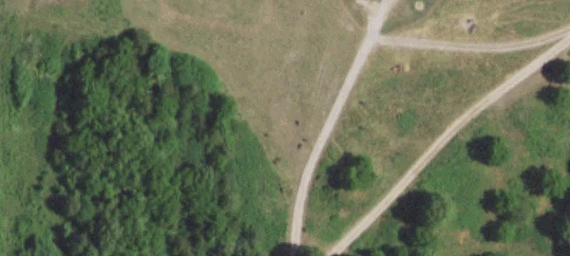 Grovespring, MO 65662