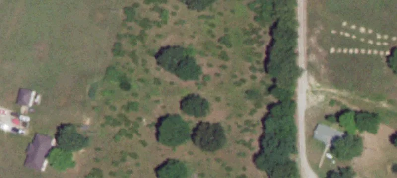 Grovespring, MO 65662