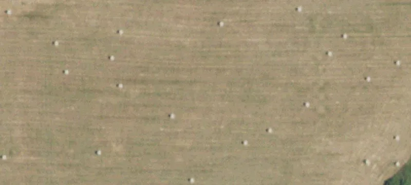 Grovespring, MO 65662