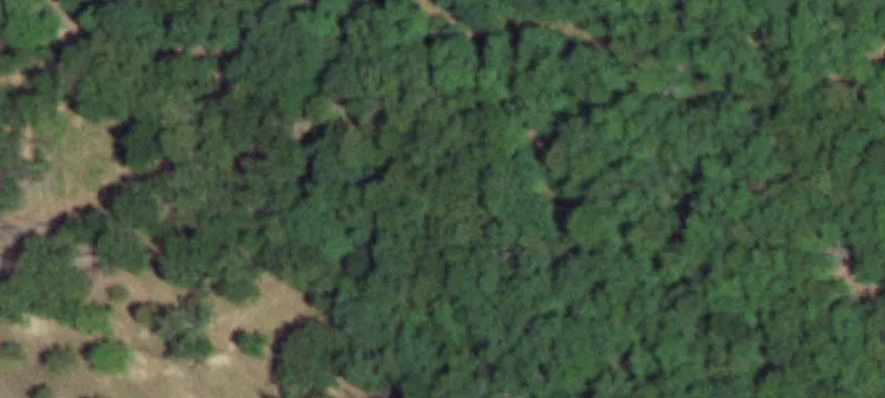 Grovespring, MO 65662