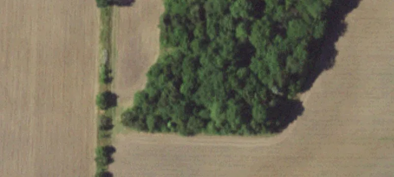 Latham, MO 65050