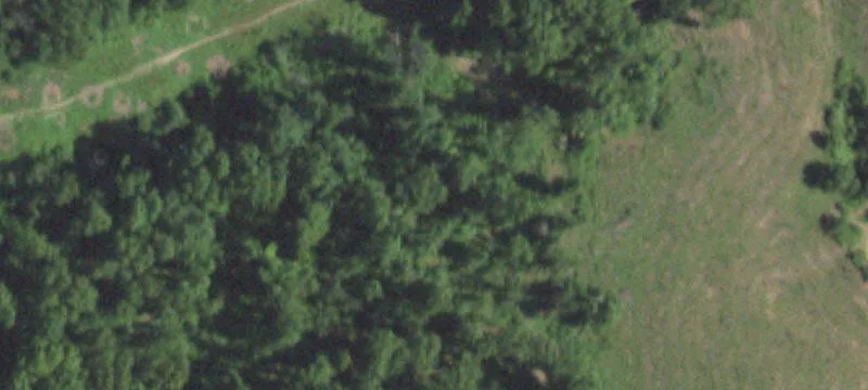 Macomb, MO 65702