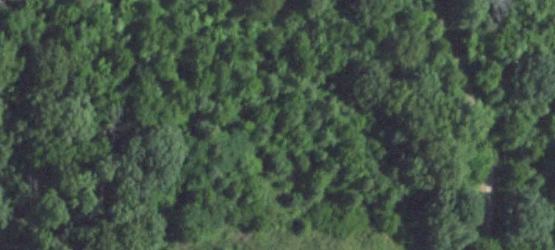 Falcon, MO 65470