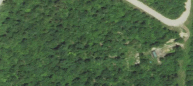 10060 County Rd 459