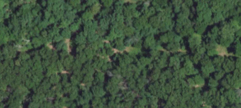 Grovespring, MO 65662