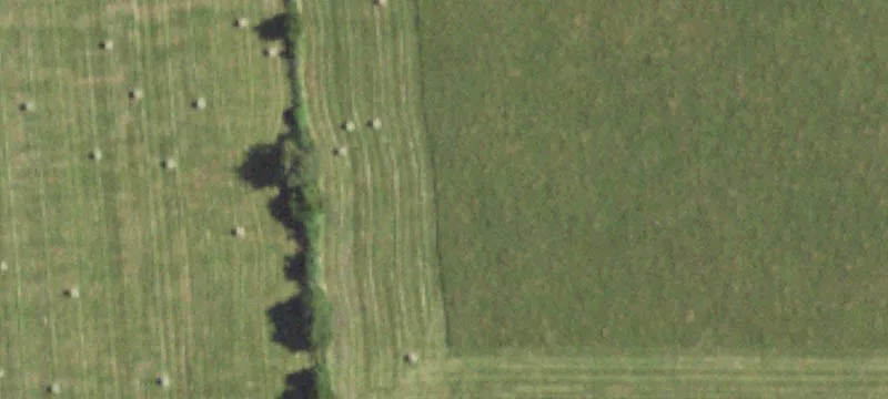 Lynchburg, MO 65543