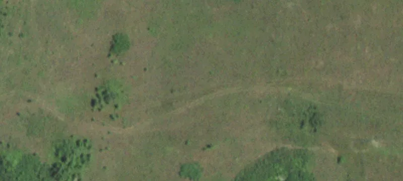 Grovespring, MO 65662