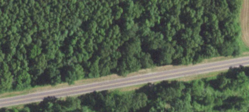 Lynchburg, MO 65543