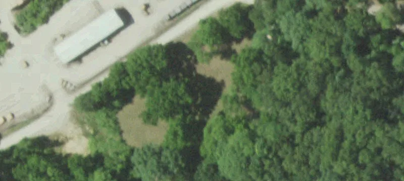 Birch Tree, MO 65438