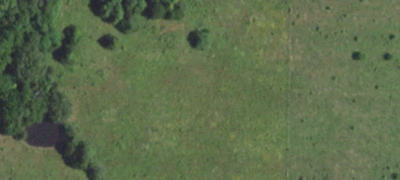 Grovespring, MO 65662