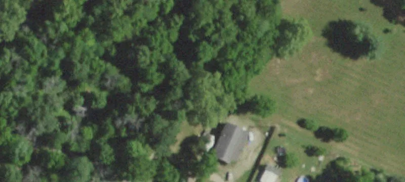 217 Maple St