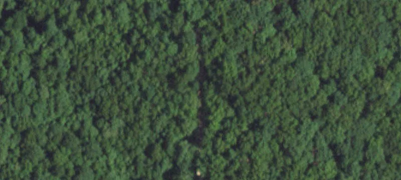Grovespring, MO 65662
