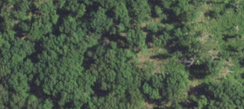 Lynchburg, MO 65543
