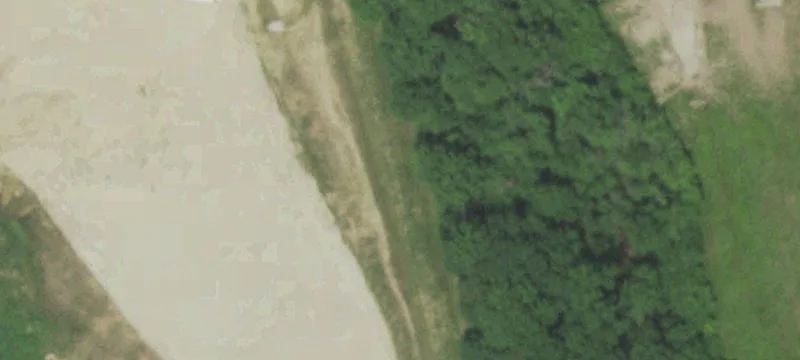 Tree Farm Rd