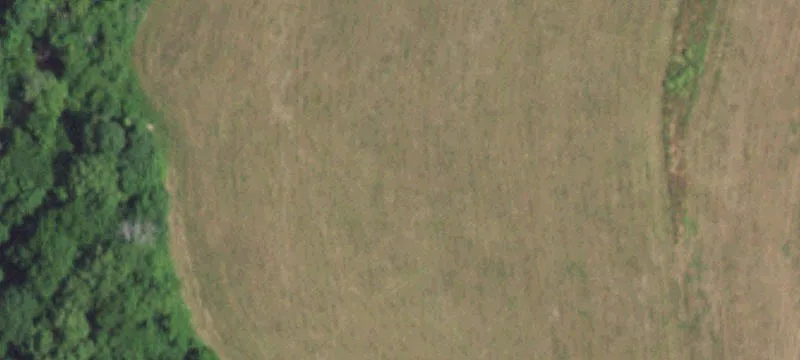 Grovespring, MO 65662