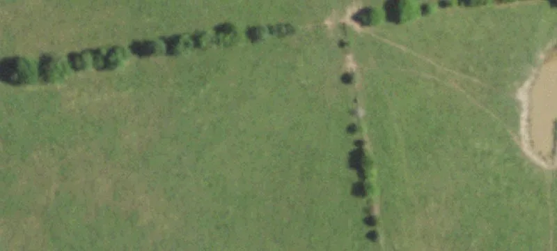 2303 Us Hwy 65
