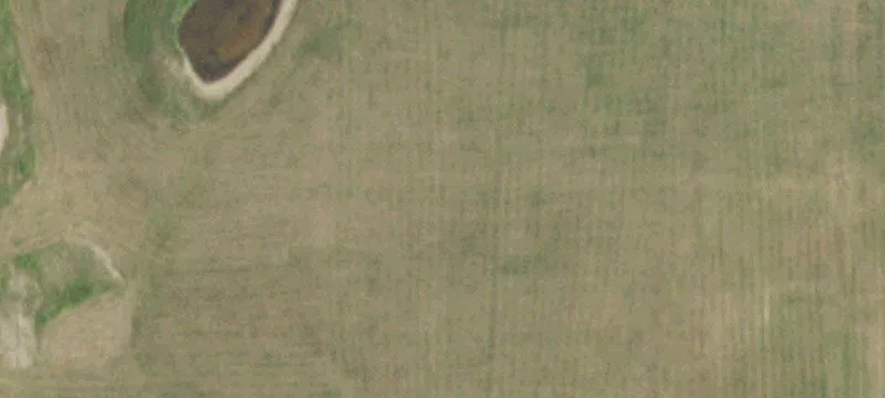 Grovespring, MO 65662