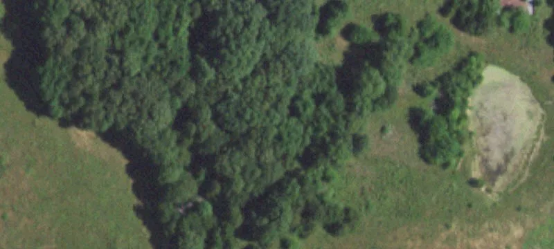 Grovespring, MO 65662