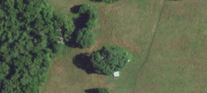 Norwood, MO 65717