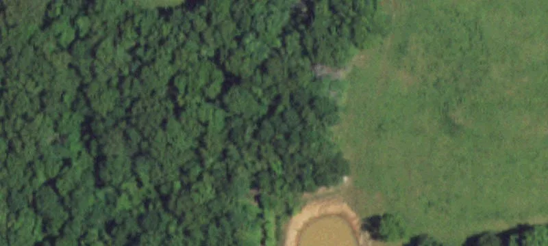 Norwood, MO 65717