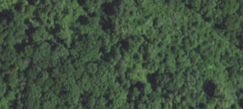 Old Gray Smt Rd