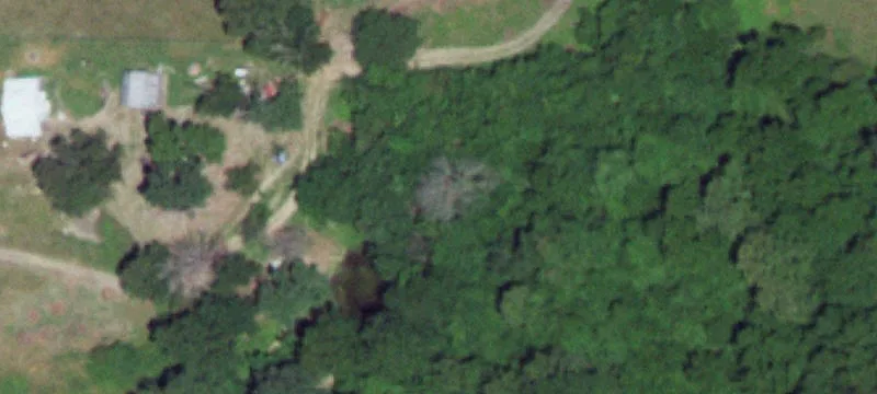 Grovespring, MO 65662