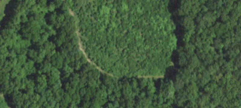 Grovespring, MO 65662
