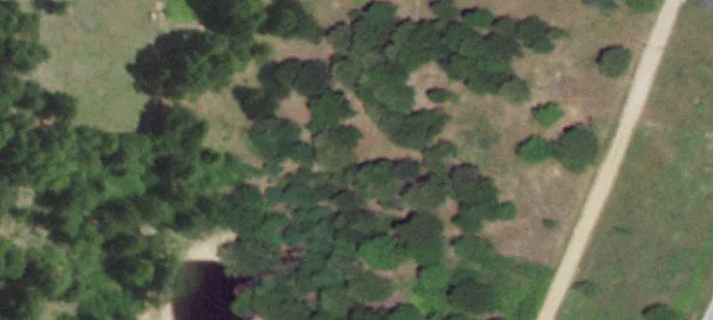 Grovespring, MO 65662