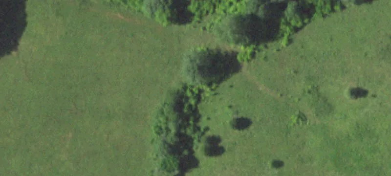Newburg, MO 65550