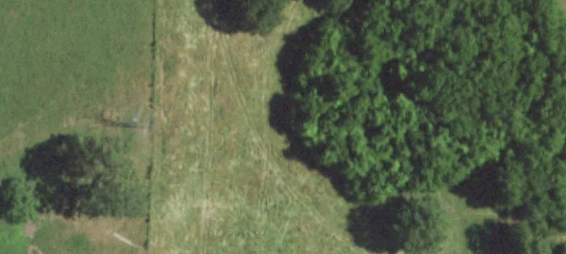 Norwood, MO 65717