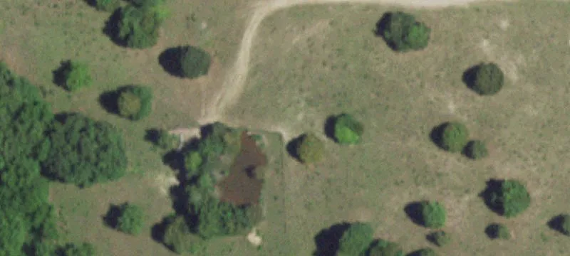 Norwood, MO 65717