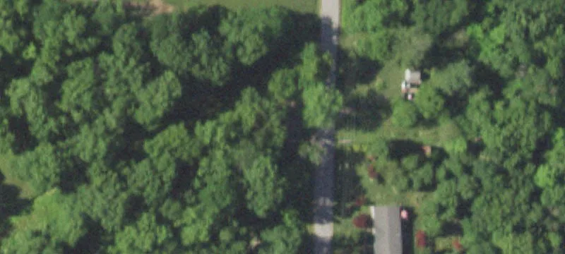 407 Pickering St