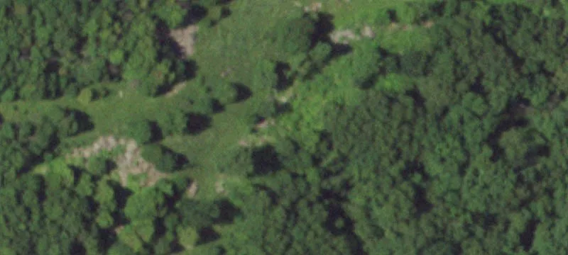 43823 State Hwy O O