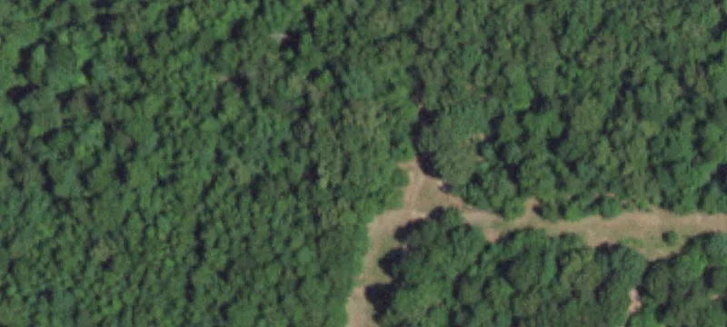 Grovespring, MO 65662