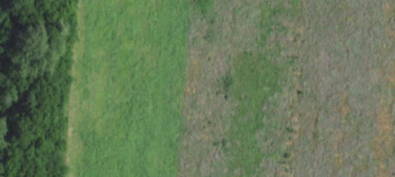 Grovespring, MO 65662