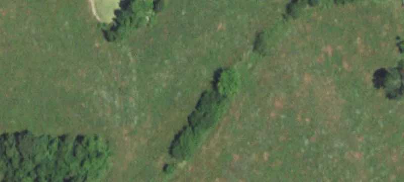 Grovespring, MO 65662