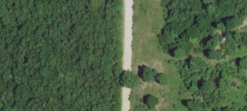 Grovespring, MO 65662