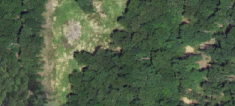 Grovespring, MO 65662