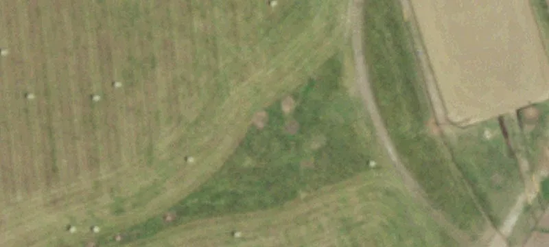 2959 State Hwy C C