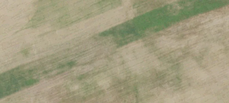 Mansfield, MO 65704