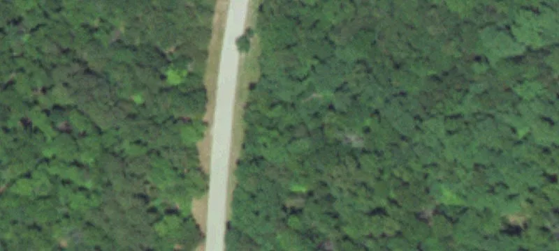 Theodosia, MO 65761